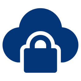 Security Analyst